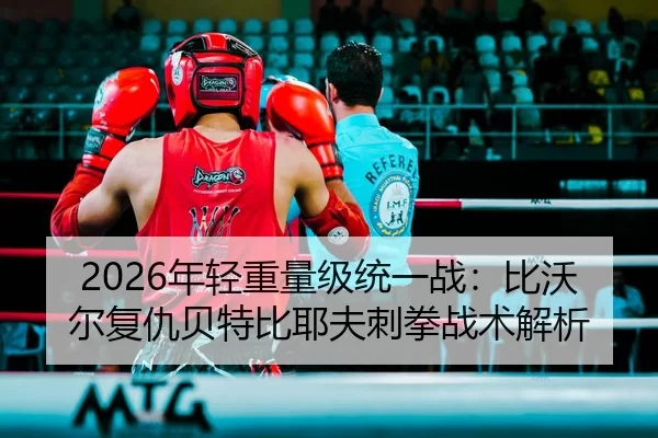 nian-qing-zhong-liang-ji-tong-yi-zhan-bi-wo-er-fu-chou-bei-te-bi-ye-fu-ci-quan-zhan-shu-jie-xi-2-722.jpg