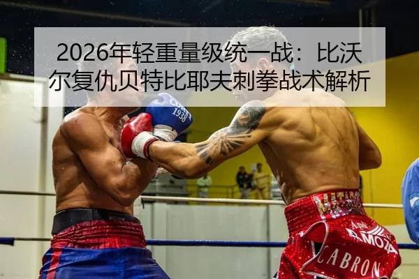 nian-qing-zhong-liang-ji-tong-yi-zhan-bi-wo-er-fu-chou-bei-te-bi-ye-fu-ci-quan-zhan-shu-jie-xi-3-690.jpg