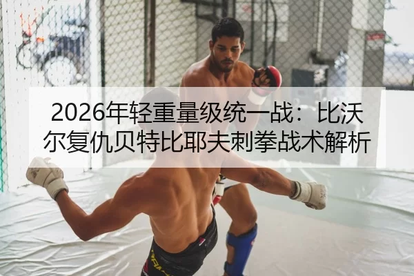 2026年轻重量级统一战：比沃尔复仇贝特比耶夫刺拳战术解析