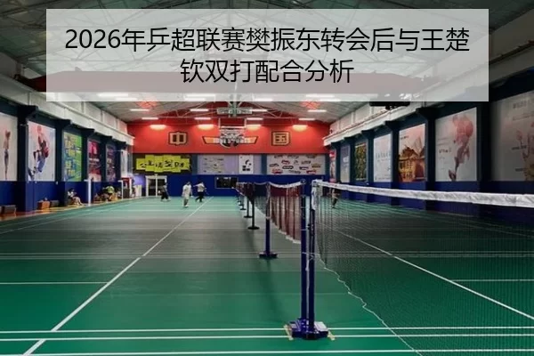 2026年乒超联赛樊振东转会后与王楚钦双打配合分析